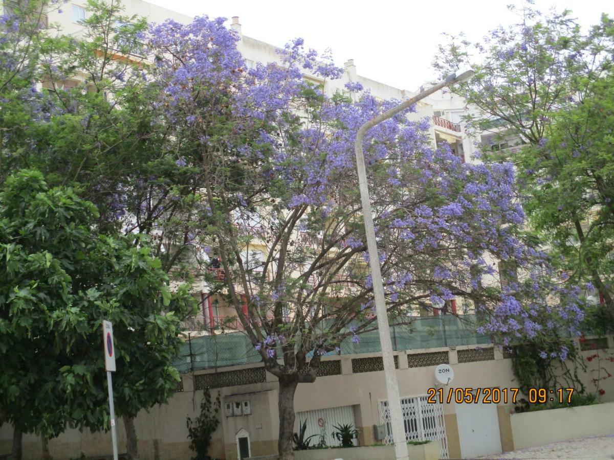 Edificio Caique C Apartment *
